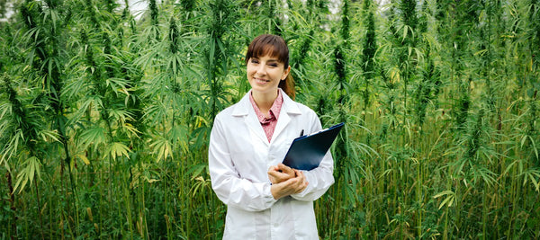i-Cann Blog | What are the Different Types of CBD?